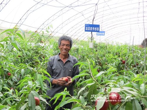 赤峰蔬菜大棚安裝電話多少號(hào)-第1張圖片
