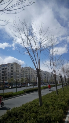 赤峰颶風(fēng)健身會(huì)所電話號(hào)碼查詢-第1張圖片