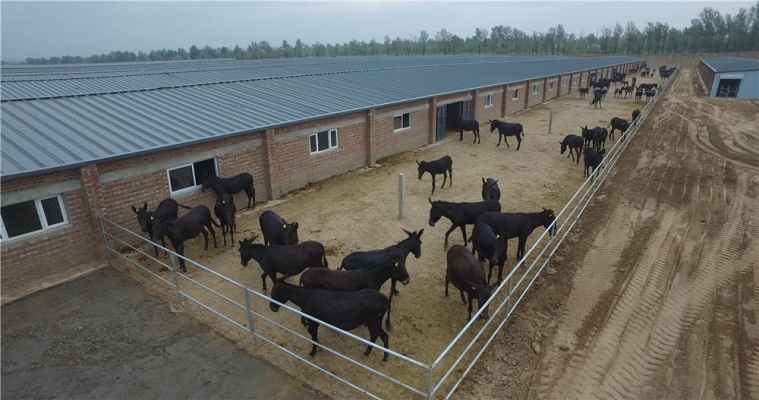 赤峰貧困戶(hù)打哪個(gè)電話查詢(xún)-第1張圖片