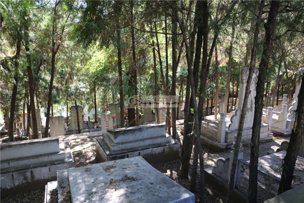 赤峰鳳凰山墓地陵園電話號(hào)碼-第1張圖片