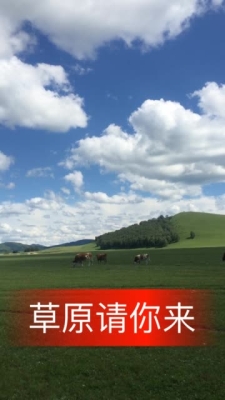 赤峰市高速服務(wù)直播電話號(hào)碼-第1張圖片