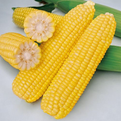 赤峰趙燕水果批發(fā)電話號碼-第1張圖片