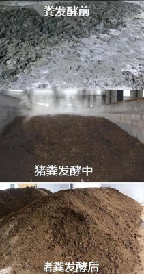 赤峰豬場清理死豬的電話是多少-第1張圖片