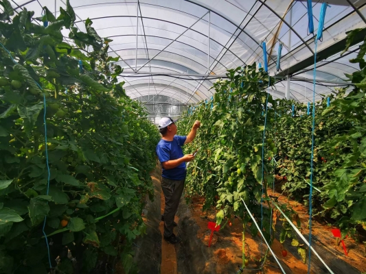 赤峰市智慧教育云-第1張圖片