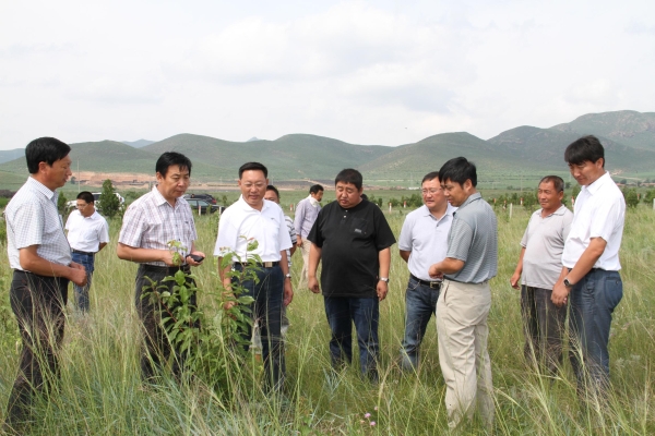 赤峰種草收割機(jī)出租電話號(hào)碼-第1張圖片