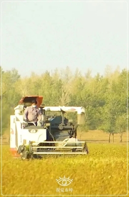 赤峰雙井高速電話是多少號-第1張圖片