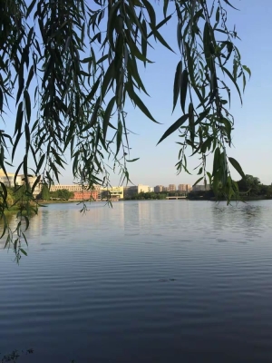 赤峰市明遠(yuǎn)技校電話(huà)號(hào)碼-第1張圖片