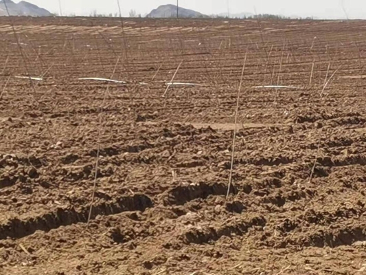 內(nèi)蒙赤峰林業(yè)局電話號碼-第1張圖片