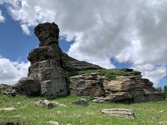赤峰出售羊羔市場地址電話號(hào)碼-第1張圖片