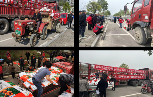 赤峰春豐農(nóng)資店地址電話號(hào)碼-第1張圖片