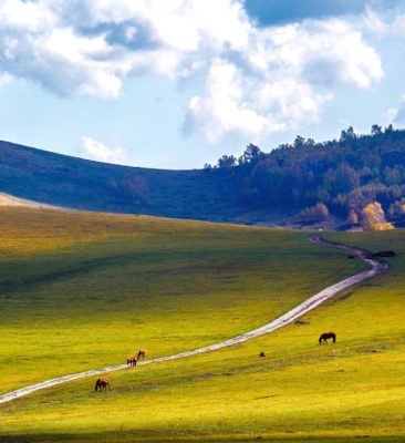 赤峰謙禾畫室電話號(hào)碼查詢-第1張圖片