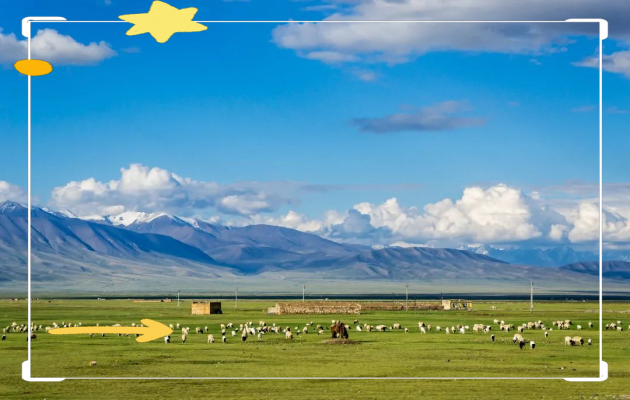 赤峰松山區(qū)騰達(dá)社區(qū)電話號(hào)碼-第1張圖片