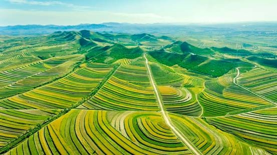 赤峰華聯(lián)稻草人店電話(huà)號(hào)碼-第1張圖片