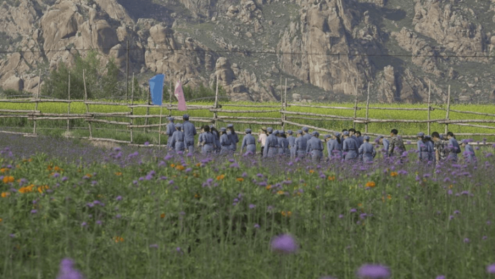 赤峰山野菜館地址電話號碼-第1張圖片