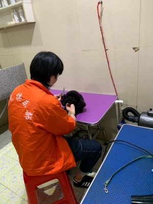 赤峰內(nèi)蒙寵物店電話地址查詢-第1張圖片