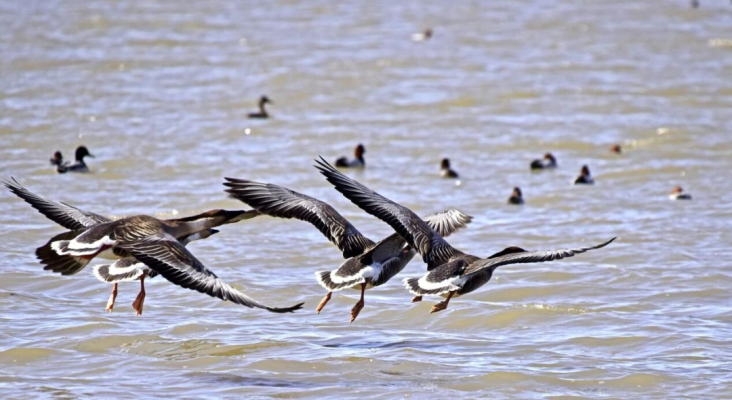 赤峰蒙帝汽貿(mào)電話號(hào)碼查詢-第1張圖片