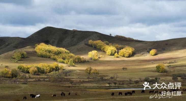 赤峰閑庭度假村地址電話號(hào)碼-第1張圖片
