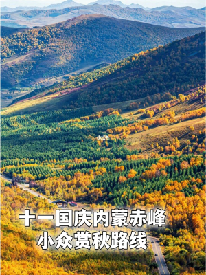 建平去赤峰政策查詢電話號碼-第1張圖片