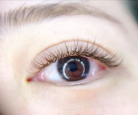 赤峰美睫會所電話多少號-第1張圖片