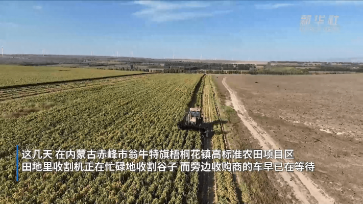 赤峰市有記者電話嗎多少-第1張圖片