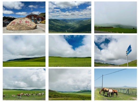 赤峰到河西車票查詢電話號(hào)碼-第1張圖片