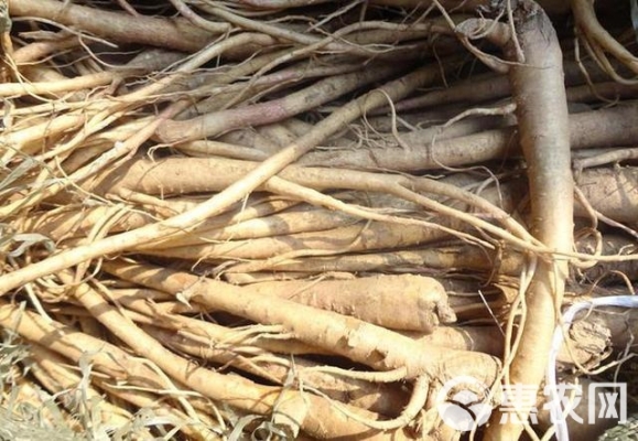 赤峰桔梗烘干廠家電話地址查詢-第1張圖片