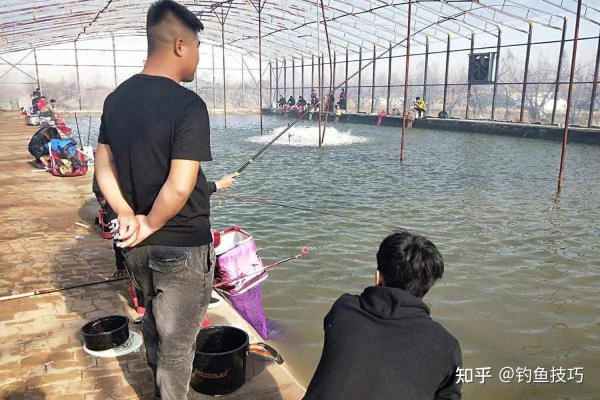 赤峰冰釣大棚電話地址查詢號(hào)碼-第1張圖片