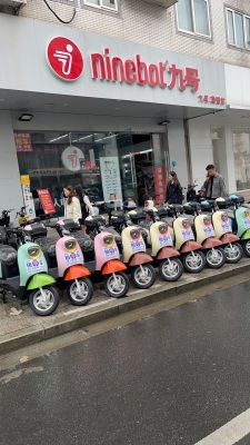 赤峰明朗租車(chē)電話號(hào)碼多少號(hào)-第1張圖片