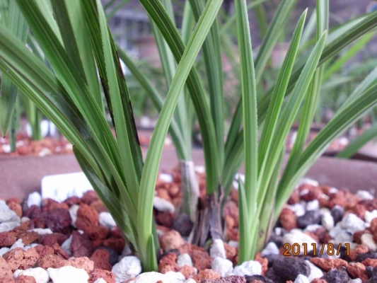 赤峰蘭炭銷售點(diǎn)電話號(hào)碼-第1張圖片