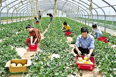 西峰到赤城的班車(chē)幾點(diǎn)-第1張圖片