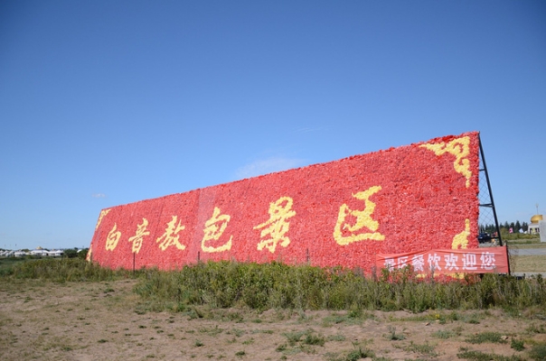 赤峰達(dá)達(dá)養(yǎng)車-第1張圖片