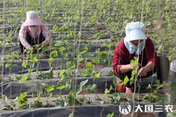 赤峰大棚釣魚地址電話是多少號-第1張圖片
