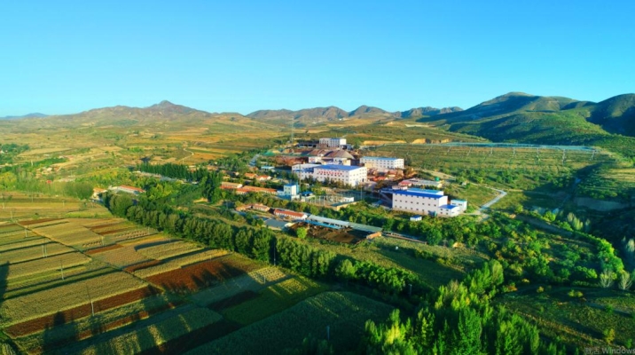 赤峰四彎子鞭炮廠電話號碼-第1張圖片