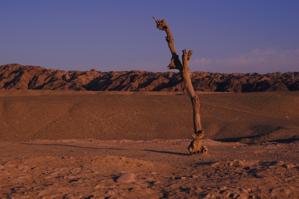 敦煌到赤峰托運(yùn)部電話號(hào)碼-第1張圖片