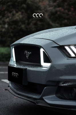 赤峰野馬貼膜電話(huà)多少啊-第1張圖片