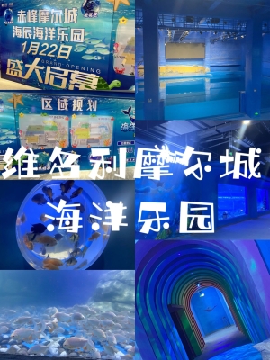 赤峰摩爾城服務(wù)臺(tái)電話號(hào)碼-第1張圖片