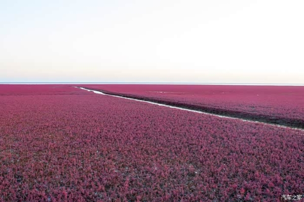 赤峰到大連客車(chē)電話號(hào)碼是多少-第1張圖片