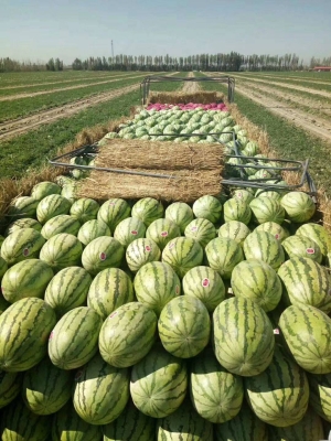 赤峰超大果茶店電話多少號(hào)-第1張圖片