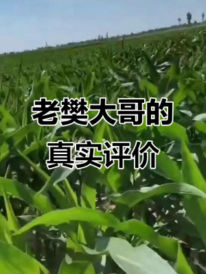 赤峰大哥老孟賣肉電話地址是多少-第1張圖片