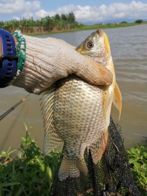 赤峰大梁溝子釣魚(yú)地點(diǎn)電話(huà)號(hào)碼-第1張圖片