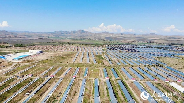 赤峰林西農(nóng)牧廠招聘電話號碼-第1張圖片