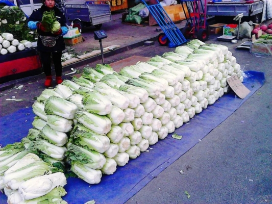 赤峰市松山區(qū)城管電話-第1張圖片