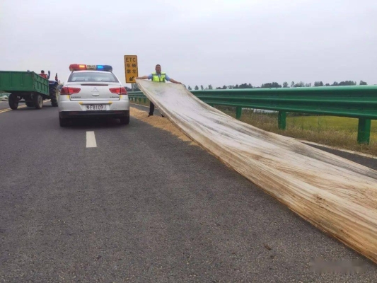 赤峰林東收糧站電話地址查詢(xún)-第1張圖片