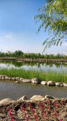 赤峰林東鎮(zhèn)娟子飯店電話號(hào)碼-第1張圖片