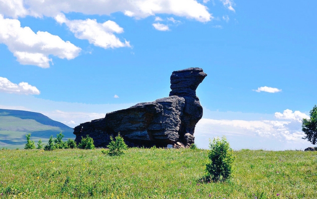 赤峰撿野鴨蛋電話是多少號(hào)-第1張圖片