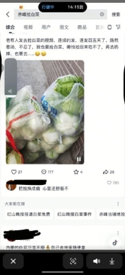 赤峰大白菜售賣(mài)電話地址查詢-第1張圖片