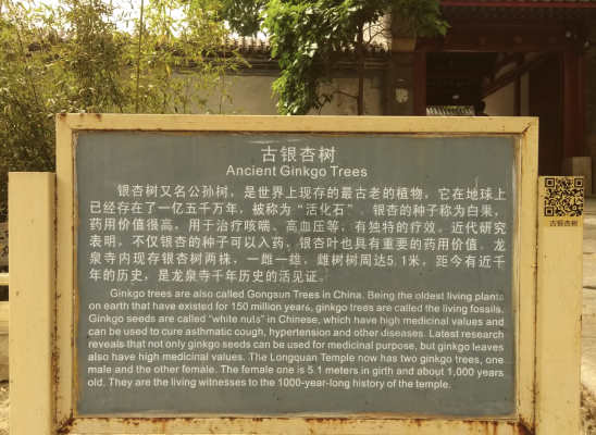 赤峰龍泉寺泉水供應(yīng)電話號碼-第1張圖片