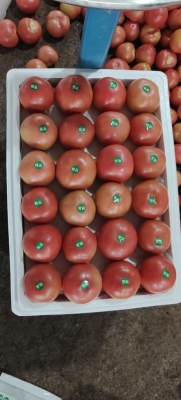 赤峰寧城縣運輸公司電話號碼-第1張圖片