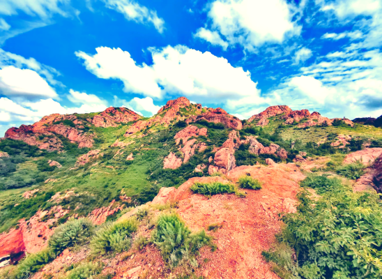 赤峰紅魔專賣店電話號碼-第1張圖片