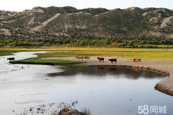赤峰成人游泳館電話地址查詢-第1張圖片